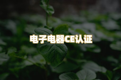 电子电器CE认证
